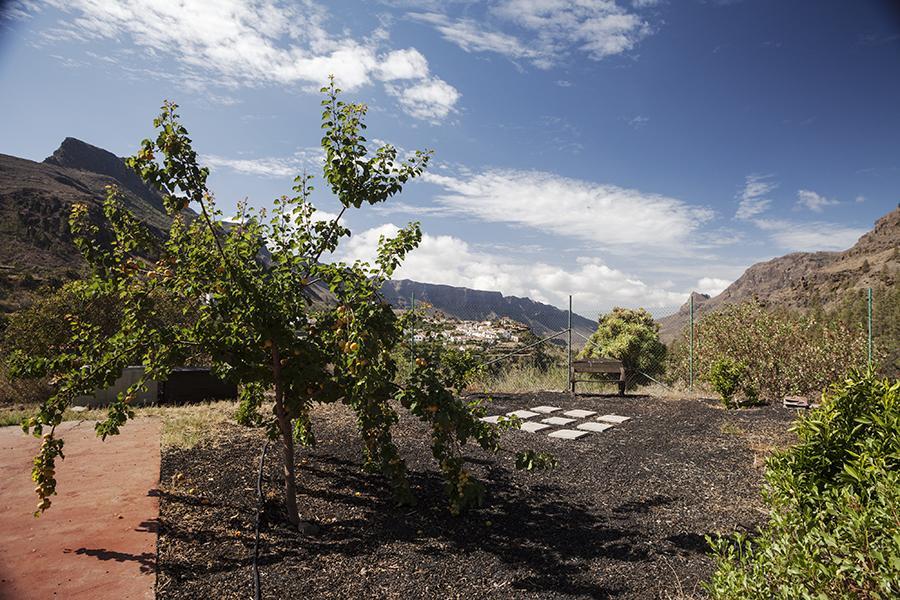 Ecotara Canary Islands Pension Fátaga Kamer foto