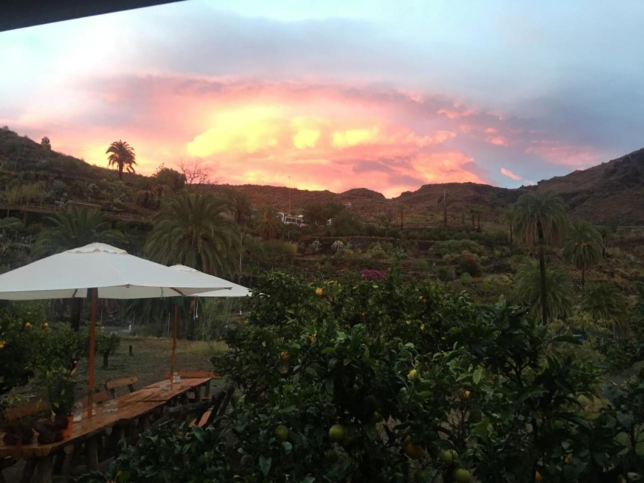 Ecotara Canary Islands Pension Fátaga Buitenkant foto